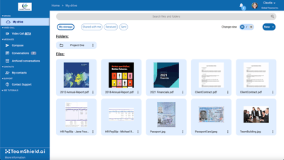TS Drive Screenshot Icons View